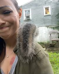 I never thought I would love squirrels the way I do. , This is Joop!,  Joop’s mom, Mildred, started coming around last year. Mildred, at first,  was a problem child for my already very established crew ...