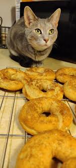 These cinnamon sugar swirl cupcakes are a dream of mine come true! Cinnamon Sugar Bagels Made With Greek Yogurt 130 Cals Each No Cats Participated In The Eating Of Bagels 1200isplenty