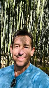 Catnip in the garden for mosquito prevention?