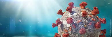 Subcutaneous ivermectin use in the treatment of severe strongyloides stercoralis infection: Ivermectin Another Potential Anti Sars Cov 2 Fighter Macherey Nagel