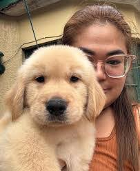 Gina Delano's Instagram, Twitter & Facebook