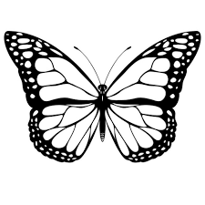 Coloring Page Butterflies Hd White Butterfly Tattoo Butterfly Clip Art Butterfly Stencil