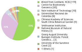 Image result for Scleria delicatula