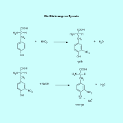 Eine solche reifung ist z.b. Aminosauren In Chemie Schulerlexikon Lernhelfer