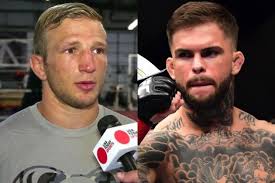 Результаты турнира Bellator LIV