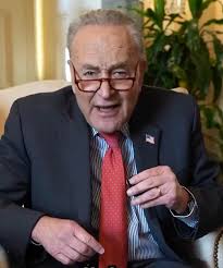 I heard Schumer try to say something like this. Hold on. Do you know what a  government shutdown would do? It would give Leon and Turnip free rein. No  federal firewalls to