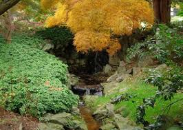 Shofuso is a nonprofit historic site with over 30,000 visitors each year and is open to the public for visitation and group tours. Japanese Hill Water Garden