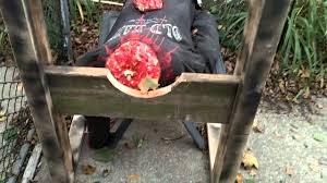 What a fun and exciting book. Backyard Haunted House 2011 Day Shot Youtube