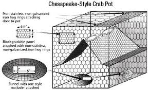 Shellfish Crab Information New Jersey Saltwater Fishing