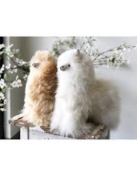 Large Alpaca Alpaca, Peru, 14