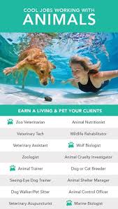 Pin On Hayley The Veterinarian