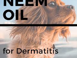 In the same manner, these pesticides can be harmful to pets as well. Neem Oil For Dogs Stops Itching Heals Skin And Repels Fleas And Mosquitos Pethelpful