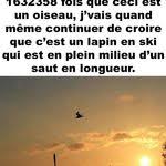 Pin By Chrystelle On Humour In 2020 Wise Quotes Cute Quotes Bad Humor