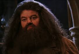 Hagrid