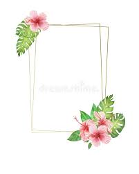 We did not find results for: Watercolor Border Frame Pink Tropical Flowers And Leaves Monstera Leaves And Hibiscus Bouquet Stock Illustration Illustration Of Flowers Copy 151608973