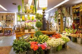 Maybe you would like to learn more about one of these? Orange County Wholesale Retail Flower Shop For Sale On Bizben