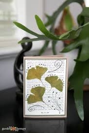 Taking the time to make a greeting card personally, lets the receiver know just how special they if you are using water soluble ink, spray a bit of cold water (no soap) onto your stamp and dab it dry with a paper towel or clean cloth. Preserving The Ornamental Garden How To Dry Flowers Leaves Stems And Pods For Crafting