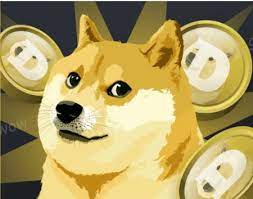 Doge has been a wild ride. What Is Shiba Inu How To Buy Shiba Inu Coin As Price Surges Following Dogecoin Drop Nj Com