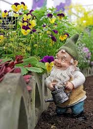 Chelsea Flower Show Cracks Down On Garden Gnomes Gnome Garden Fairy Garden Gnomes