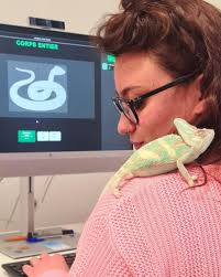 Pour rappel , nous recevons chaque lundi avec le Dr SERGI, tous les NAC ,  petits et grands comme en témoigne cette photo en taille réelle (petit  hamster à côté d'un otoscope)