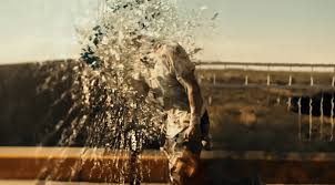 The Signal Film Review | Toni Tileva