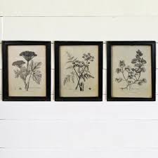 Black And White Flower Prints In Frames Black And White Botanical Prints Set Of 3 In 2020 Framed Botanical Prints Botanical Prints Floral Wall Decor
