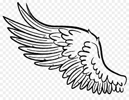 Alitas De Pollo Dibujo Ala Imagen Png Imagen Transparente Descarga Gratuita