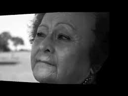 I y II Muestras Fotográficas Enfoques