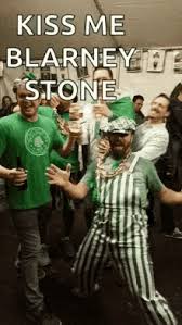 Looking for the best st patricks day memes pictures, photos & images? St Patricks Day Gifs Tenor