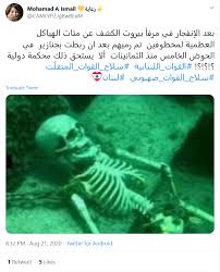 لم ي عثر على هذه الهياكل العظمية في مرفأ بيروت مسبار