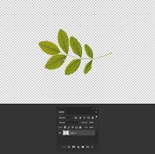 Draw a simple curved path with the pen tool. How To Make A Random Pattern Fill In Photoshop Medialoot