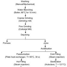 Process Flow Chart For Carrot Juice Production Type Carrot