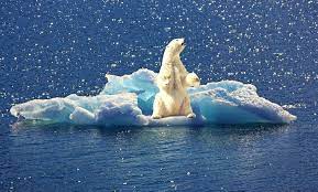 Un inlandsis est un glacier, d'une étendue supérieure à 50 000 km2, se présentant sous la forme d'une. La Fonte Des Calottes Glaciaires S Aligne Sur Les Pires Scenarios Des Modeles Climatiques