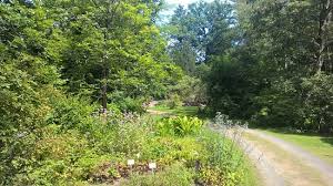 The garden was established in 1830 as part of the royal prussian higher forestry college by friedrich wilhelm. Forstbotanischer Garten Eberswalde 2020 All You Need To Know Before You Go With Photos Tripadvisor