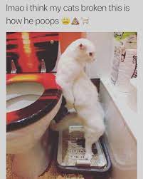 Pin On Super Funny Awesome Memes Main