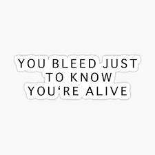 Iris goo goo dolls lyrics. Iris Song Gifts Merchandise Redbubble