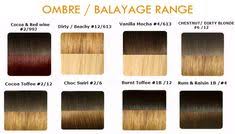 13 Best Hair Extensions Color Chart Weave Images