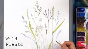 We did not find results for: Lvl3 Wild Plants Watercolor Painting Botanical Illustration Youtube