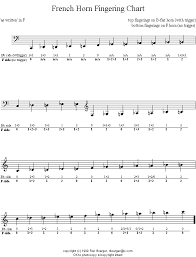 French Horn F And Bb Sides French Horn Horns Music