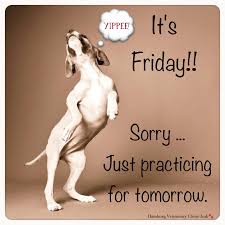 Pin On Hamburg Veterinary Clinic