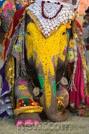 Yes I Know I Am Beautiful Elephant Painting Color Festival Elephant