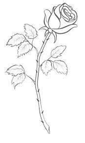 Image Result For Simple Rose Outline Drawing Rose Outline Drawing Rose Outline Roses Drawing
