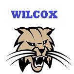 Bessemer Academy at Wilcox Academy