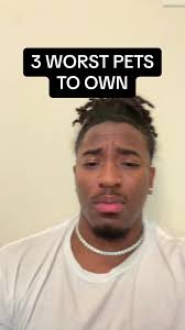 Dangers of Owning A Pet Monkey