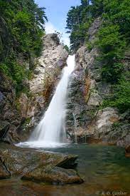 Everyone was pleasant and polite. Glen Ellis Falls In Pinkham Notch White Mountain National Forest Coos County New Hampshire