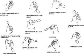 Hand Grasp Patterns I Am Always In Google Images To