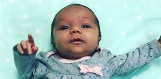 Coniglio Generation Four