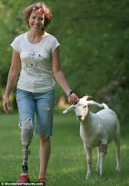 The video starts by showing valverde approaching a small clearing in a wooded area where. Woman Who Lost Limb To Cancer At 10 Gets A Similar Prosthetic Leg For Her Pet Goat Albie Daily Mail Online