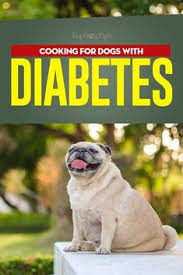 Here is another healthy and safe homemade dog food for diabetic dogs recipe that your pup will love. 8 Dog Diab Kidny Ideas Diabetic Dog Food Dog Food Recipes Diabetic Dog