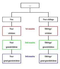 what is the definition of a third cousin quora